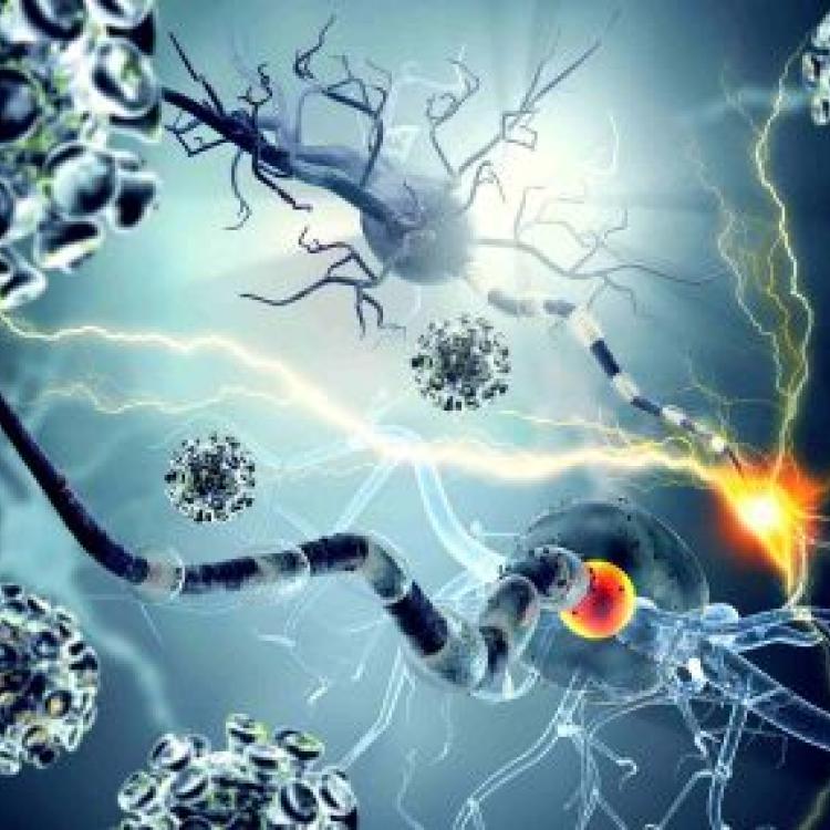 Department of Medical Oncology