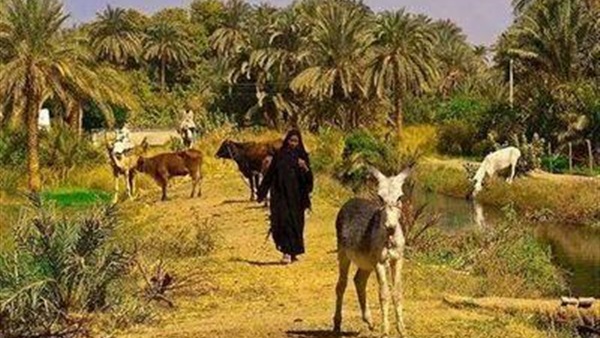 Department of Rural Sociology and Agricultural Extension