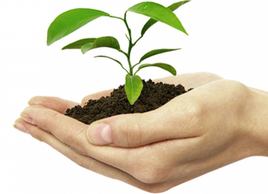 Department of Plant Protection 