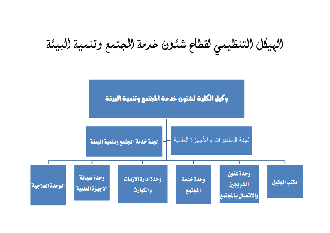 الهيكل التنظيمي للقطاع