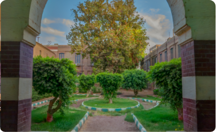  قسم اللغات الشرقية وآدابها