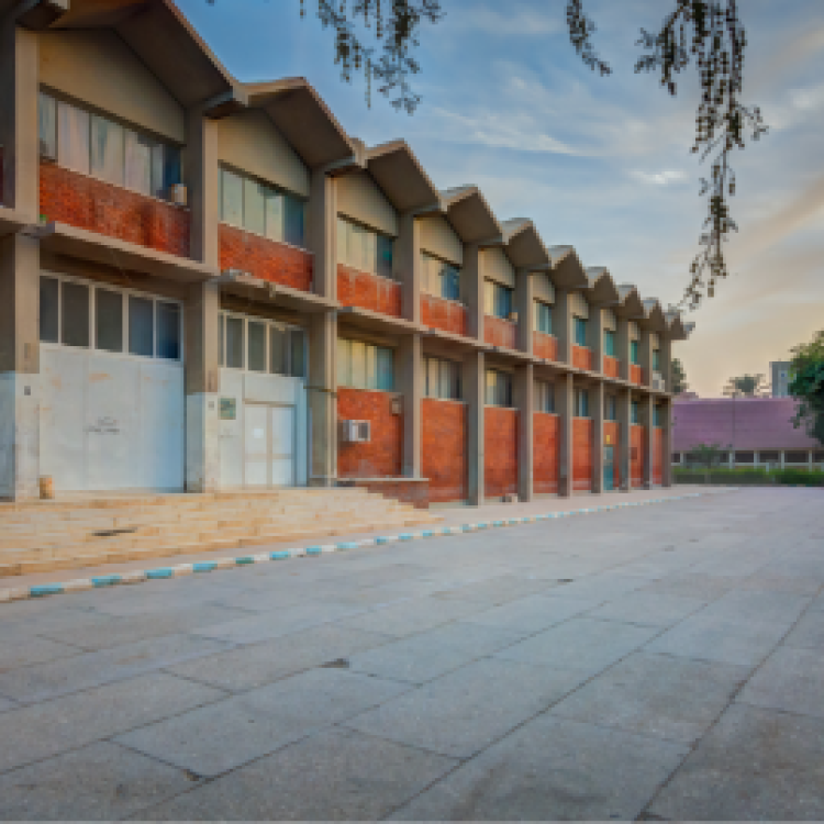 قسم علم الإجتماع