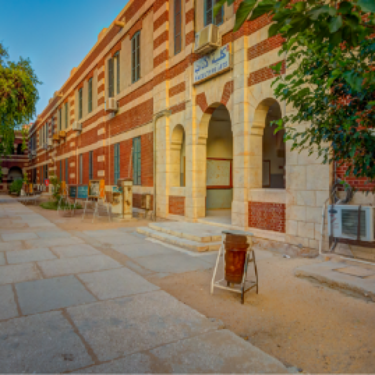 قسم التاريخ