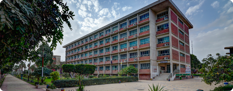 Choose education at AUN  