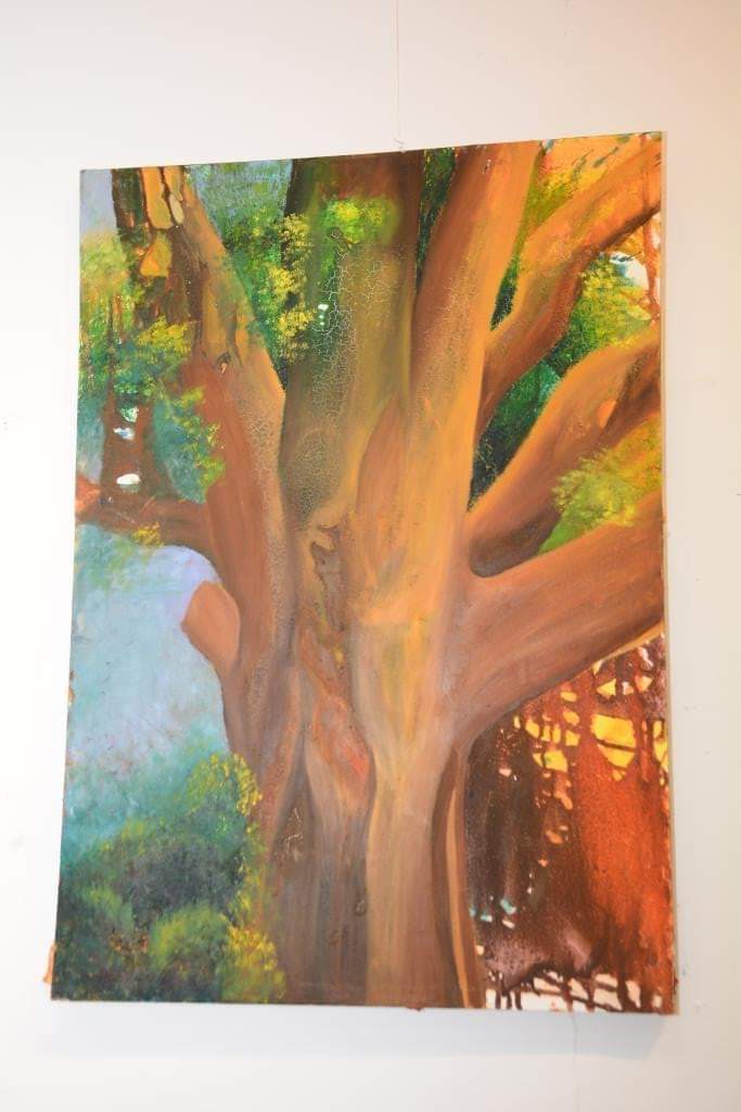 جامعة أسيوط تفتتح معرض الفرقة الثانية والرابعة بقسم التصوير بكلية الفنون الجميلة بعنوان " تشكيل لوني "