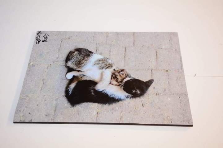 ​  ​ الأستاذ الدكتور /أحمد المنشاوي نائب رئيس الجامعة لشئون الدراسات العليا والبحوث والمشرف على كلية الفنون الجميلة يفتتح معرض التصوير الفوتوغرافى الثانى لطلاب الفرقة الأولى بكلية الفنون الجميلة تحت عنوان " تمرد عدسة "والمنعقد بقصر ثقافة أسيوط [إضغط و إسحب للتحريك] ​ [إضغط و إسحب للتحريك] ​