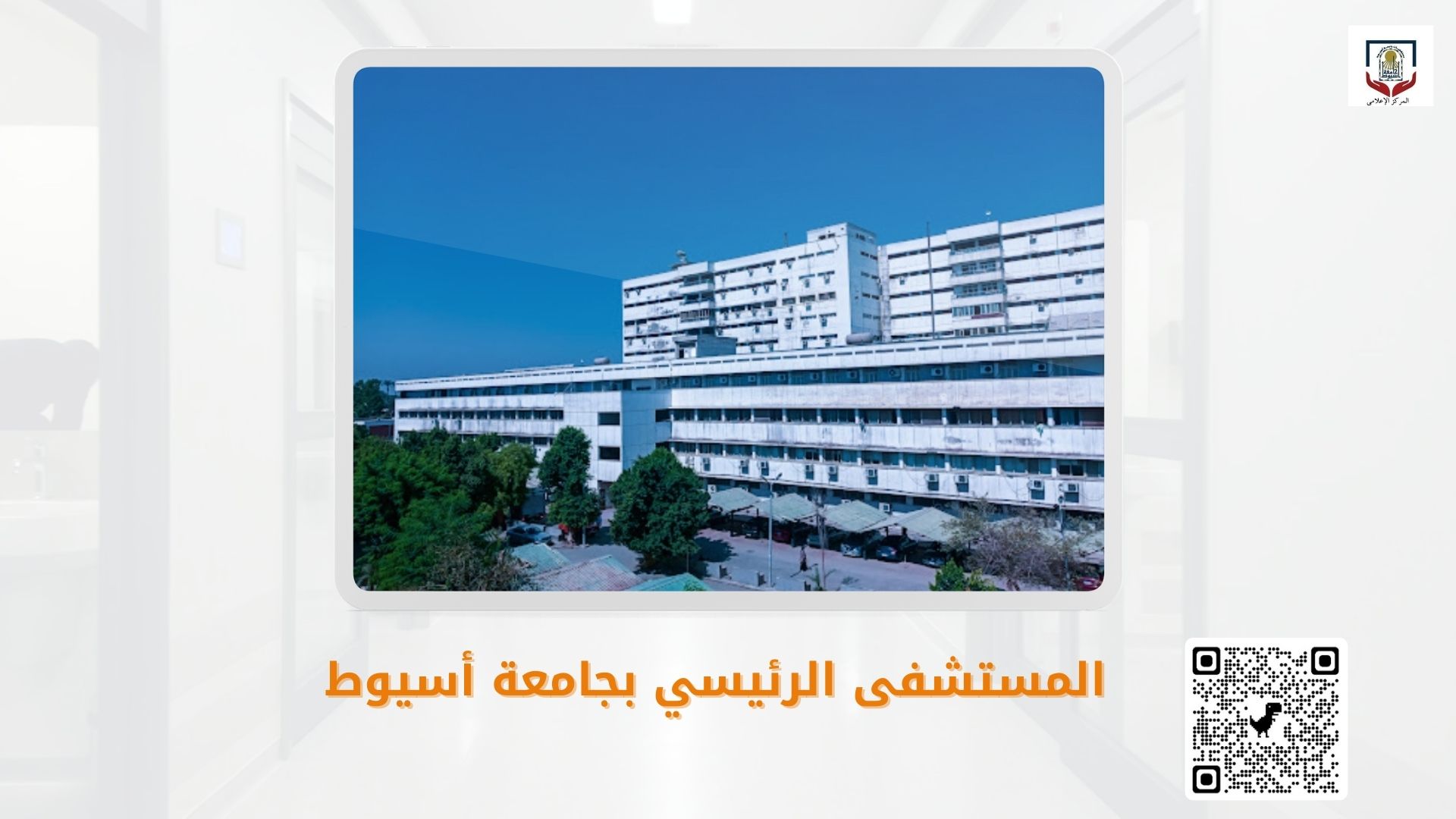 قسم الباطنه