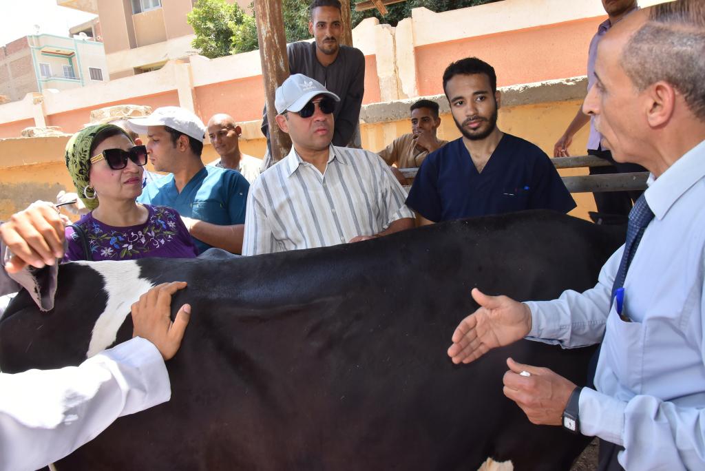 في إطار مبادرة حياة كريمة:  جامعة أسيوط تطلق أولى قوافلها البيطرية لقرى محافظة أسيوط