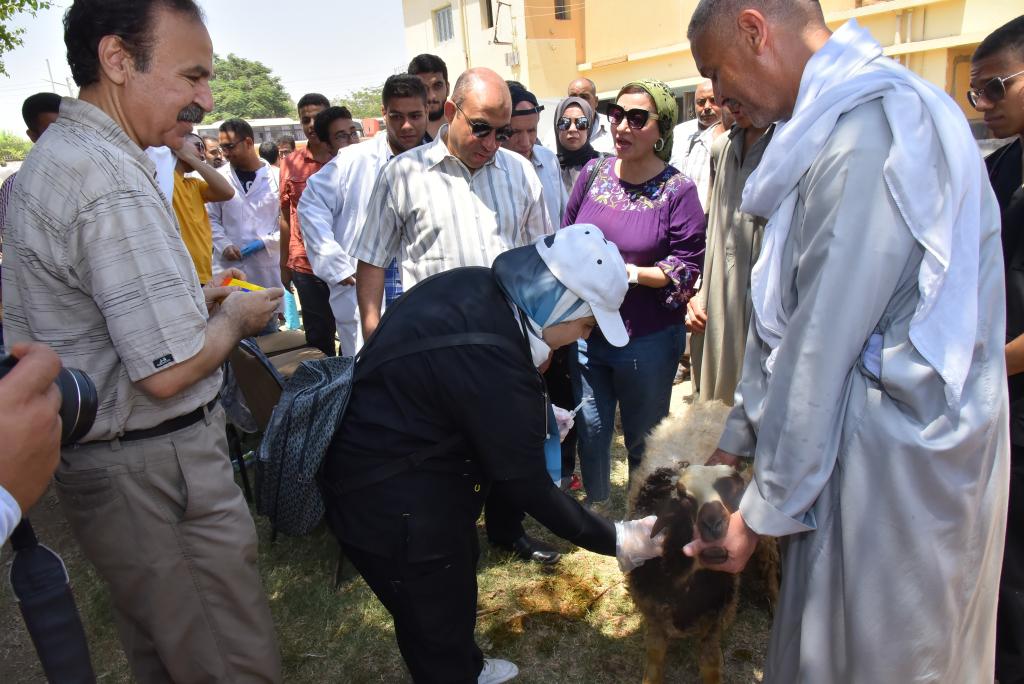 في إطار مبادرة حياة كريمة:  جامعة أسيوط تطلق أولى قوافلها البيطرية لقرى محافظة أسيوط