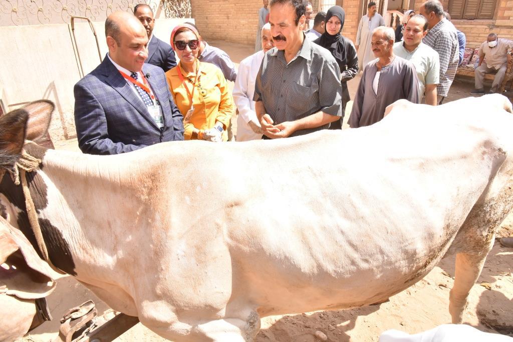 قافلة جامعة أسيوط التنموية الشاملة تناظر ٥٤٠ مواطنا بقرية شطب 