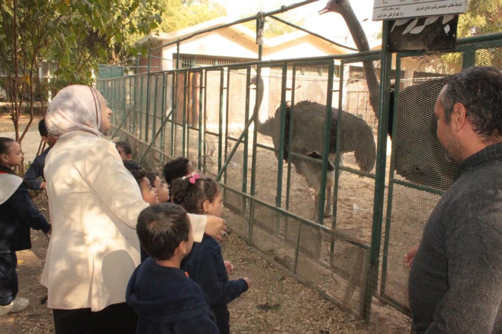 جامعة أسيوط تنظم زيارة ترفيهية لأطفال روضة الرعاية المتكاملة إلي مزرعة كلية الزراعة بالجامعة