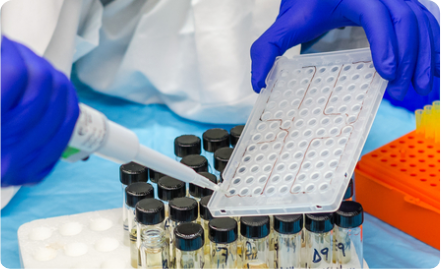 Department of Parasitology 