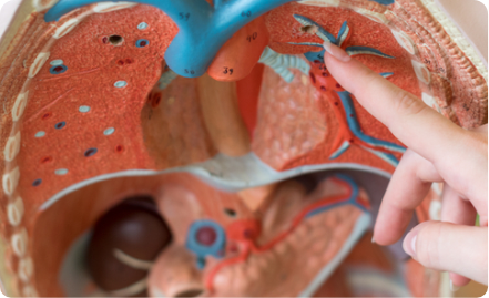 Department of Cardiology 