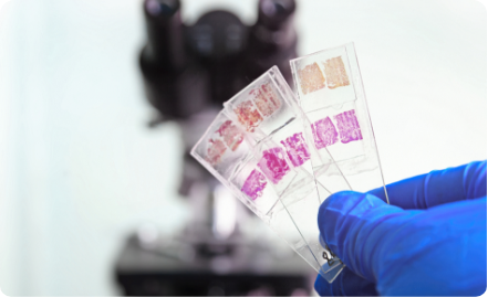 Department of Histology