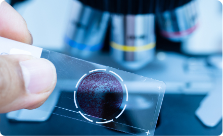 Department of Pathology