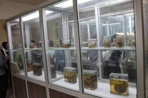 زيارة طلاب مدرسة الشهيد مصطفى حمدون الثانوية بأم القصور لكلية الطب.