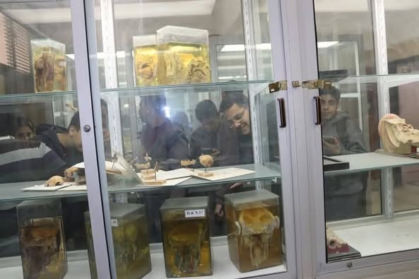 زيارة مدرسة الفرنسيسكان الثانوية الخاصة باسيوط اليوم ٢٧ فبراير ٢٠٢٥ لمتاحف كلية الطب.