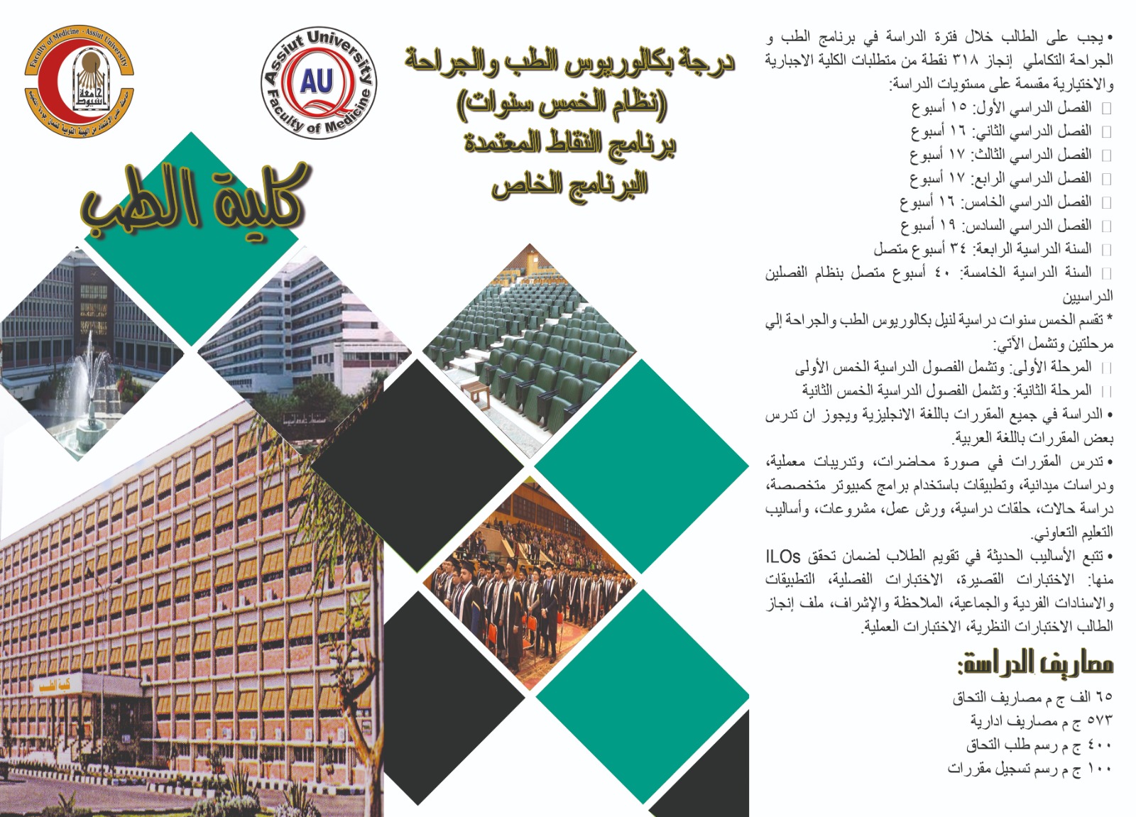 Bachelor of Medicine and Surgery (MBBS) Five-Year System (Accredited Points Program) Special Program