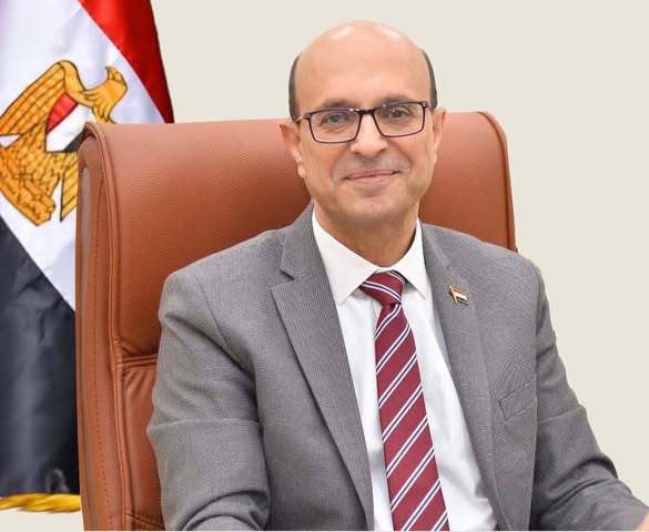 Registration of the Institutional Research Ethics Review Committee of the Faculty of Medicine with the Supreme Council for Clinical Medical Ethics Review of the Cabinet