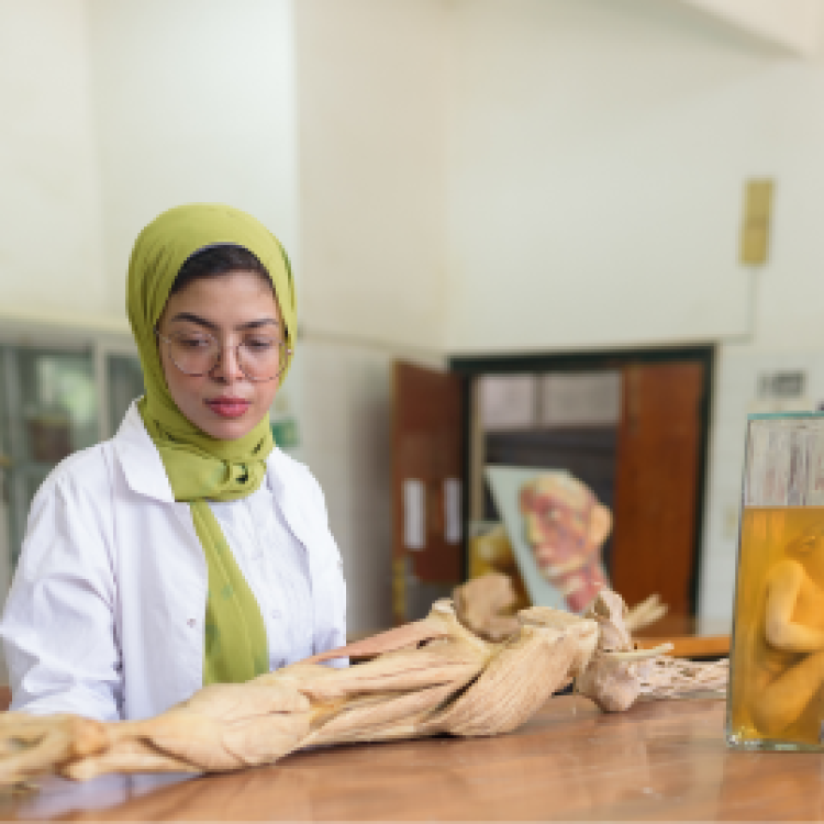 Department of  Rheumatology ,Rehabilitation & physical medicine