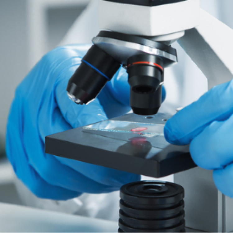 Department of Clinical Pathology 