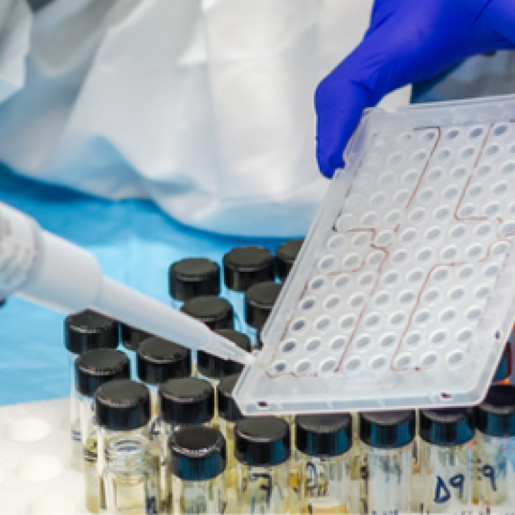 Department of Parasitology 