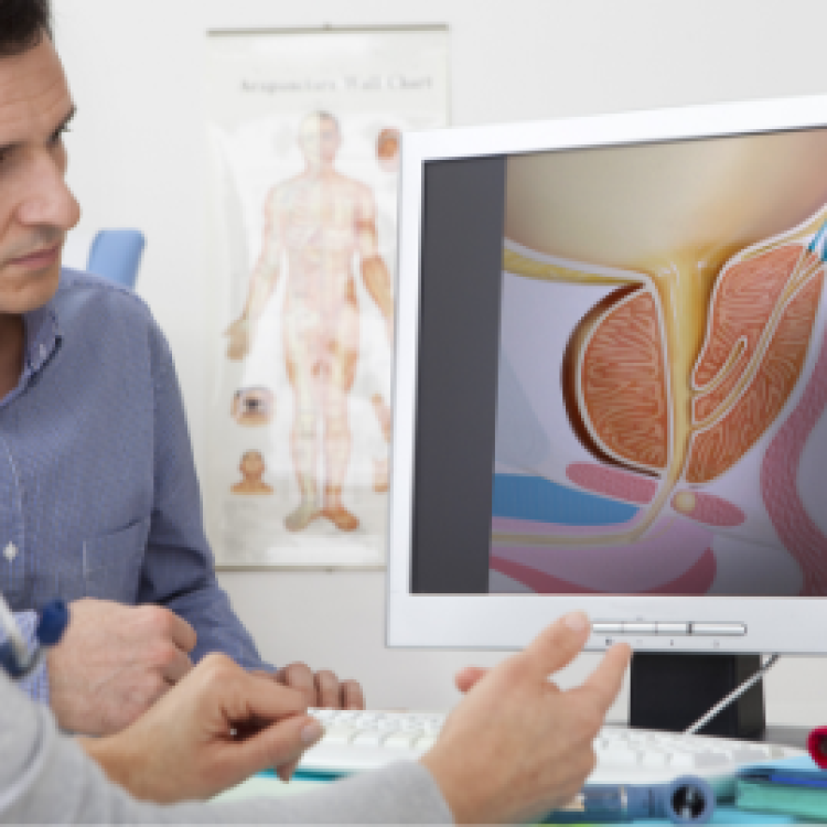 Department of Urology 