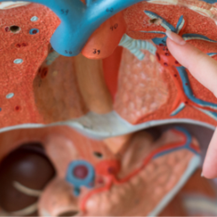 Department of Cardiology 