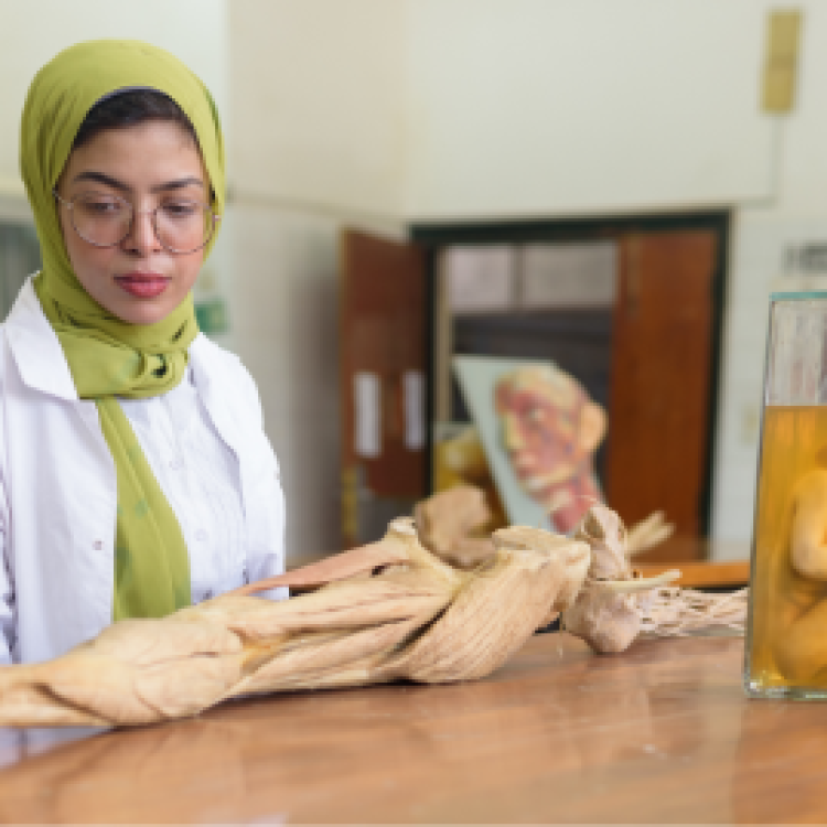 قسم جراحة الأوعية الدموية  