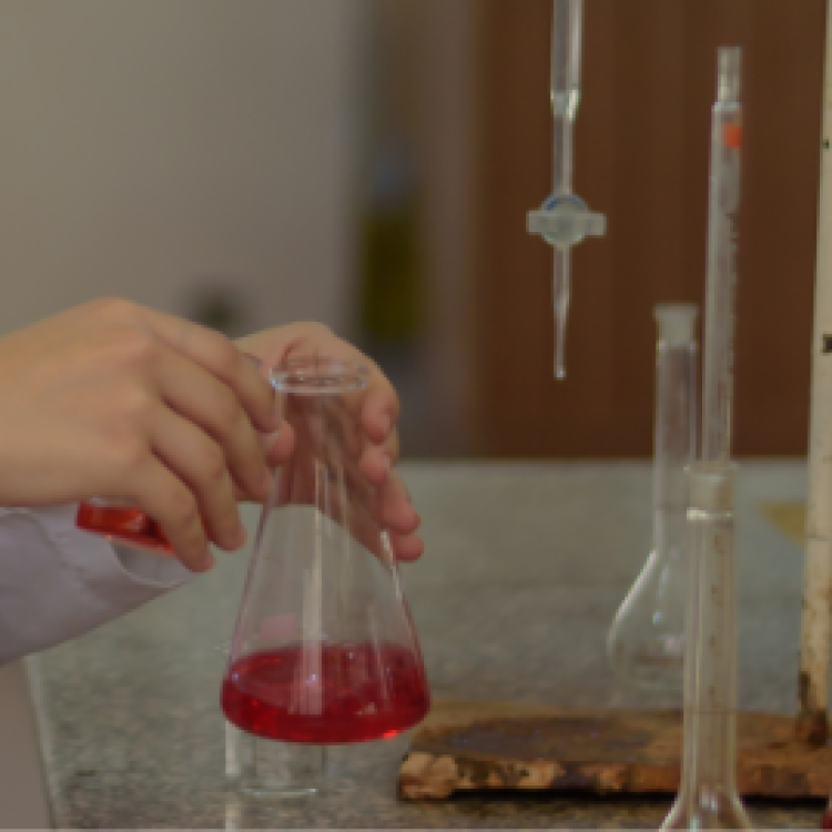 Department of Forensic Medicine and Clinical Toxicology