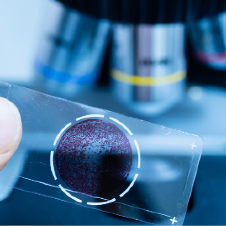 Department of Pathology