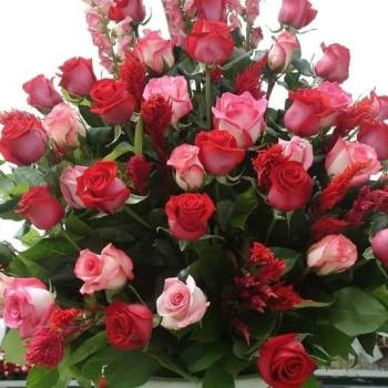 Congratulations to the distinguished faculty members and supporting staff on their promotions