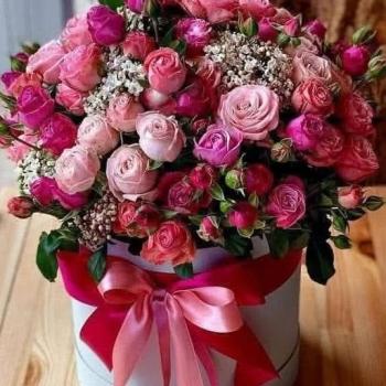 Public Relations and Media congratulates the faculty members and the supporting staff on their promotions: