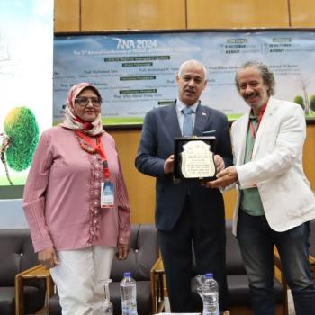 The activities of the second annual conference of the Nephrology Association in Assiut, in cooperation with the Artificial Kidney Unit at Assiut University Hospitals, have been launched, under the title: “Modern Kidney Diseases and Transplantation”