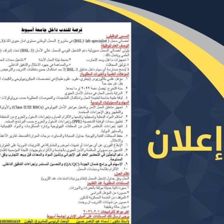 Important announcement: Opportunity for secondment within Assiut University