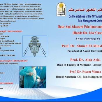 7 workshops on the sidelines of the 16th Annual Conference of the Department of Anesthesia, Intensive Care and Pain Management - Faculty of Medicine - Assiut University