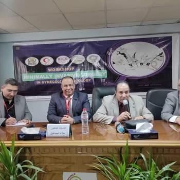 Activities of the advanced endoscopy course in the field of gynecological oncology at Women’s Health Hospital, Assiut University