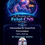 January 13th.. The Women's Health Hospital at Assiut University organizes a scientific day on “The Nervous System of the Fetus”