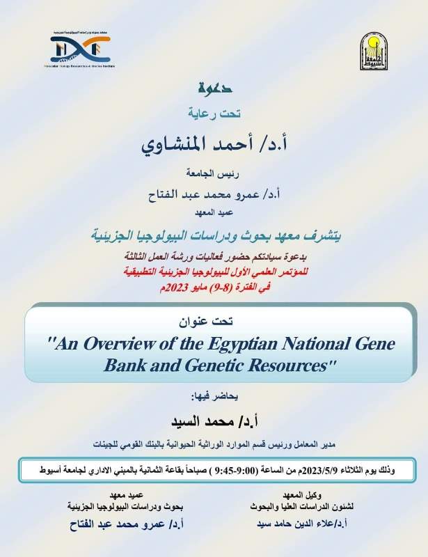 د محمد السيد1