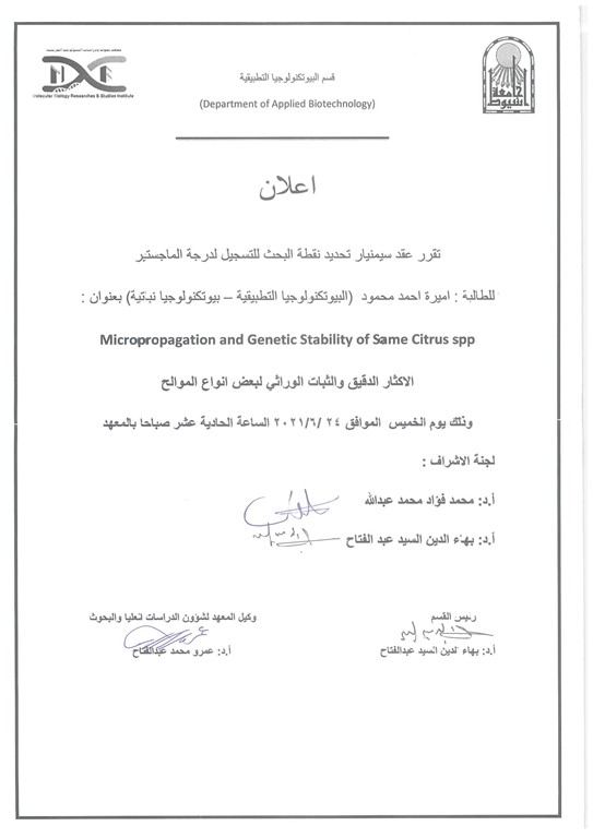 سيمنار أميرة