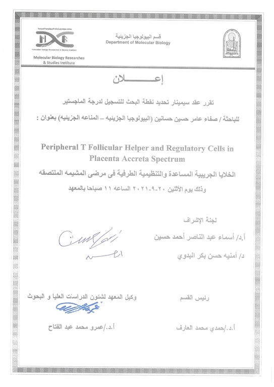 سيمنار صفاء