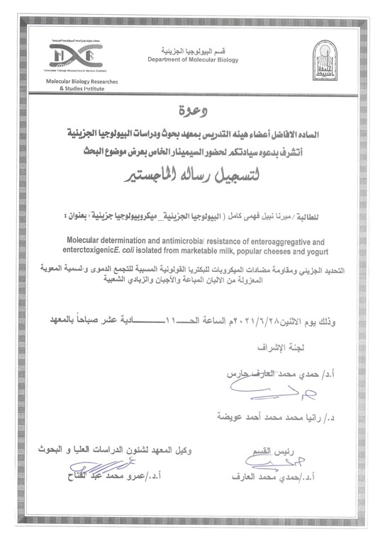 سيمنار ميرنا