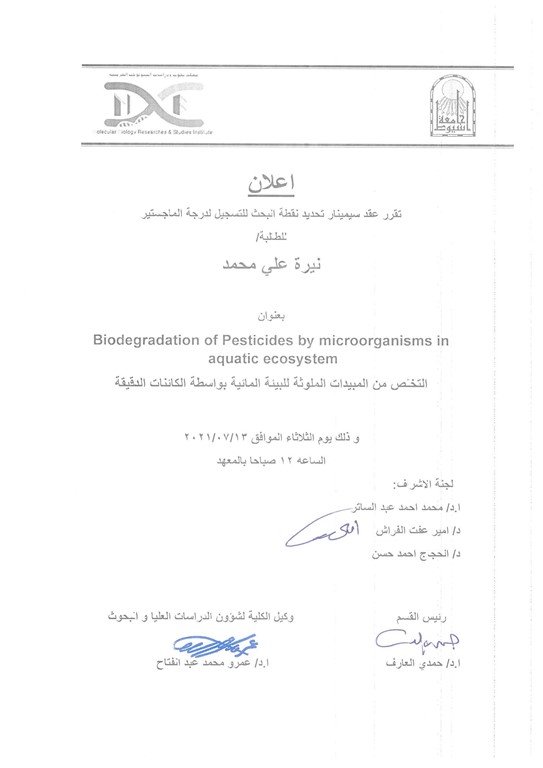 سيمنار نيرة