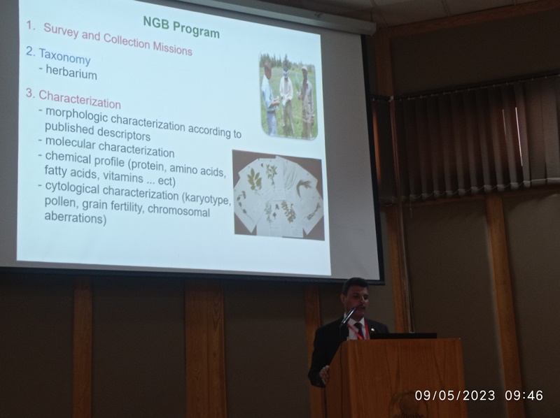 د محمد السيد2