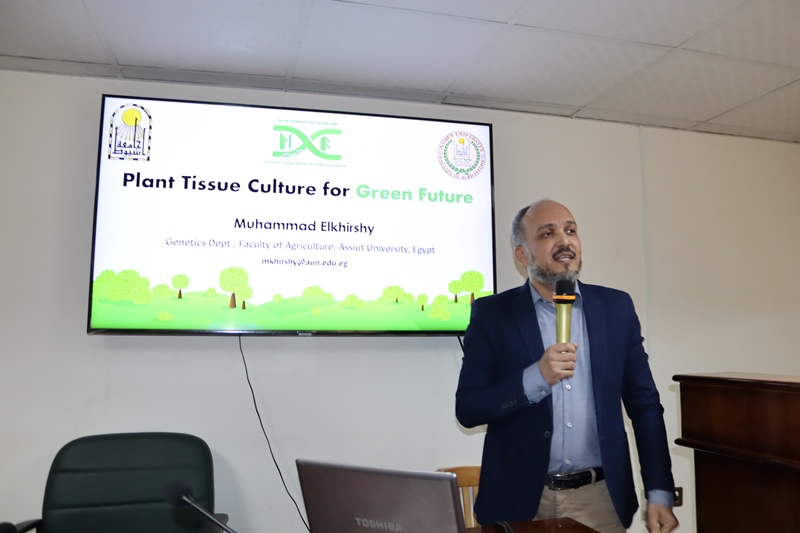 الحلم الاخضر3