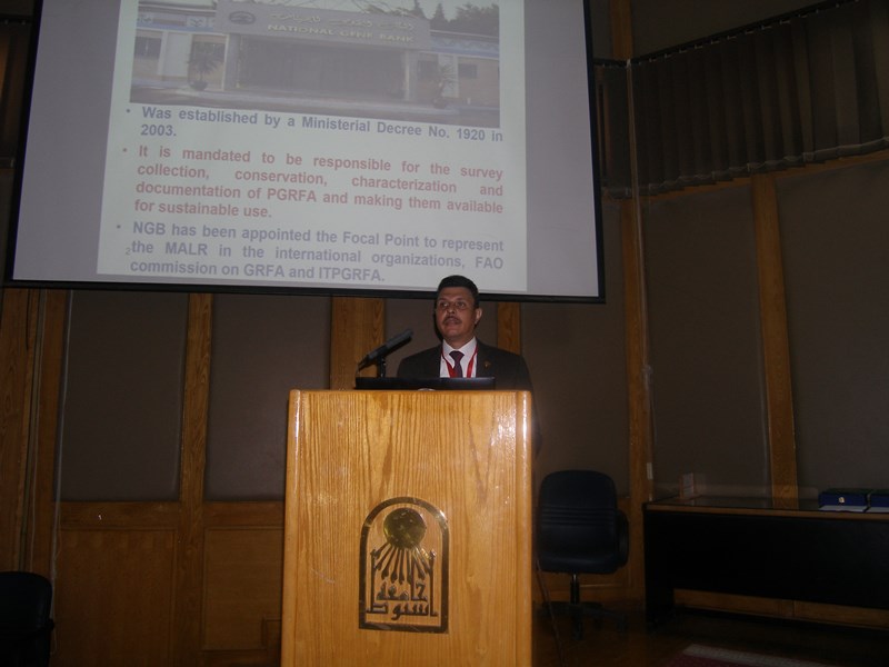 د محمد السيد4