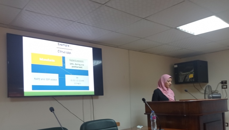 سيمنار اميرة3