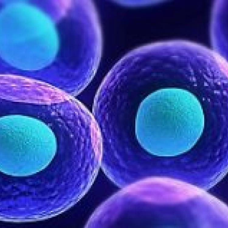 Department of Applied Biotechnology