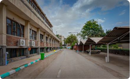 Department of Pediatrics