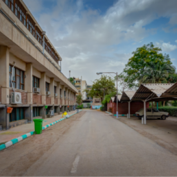 Department of Pediatrics